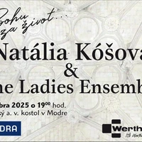 KONCERT - 23.11.2025